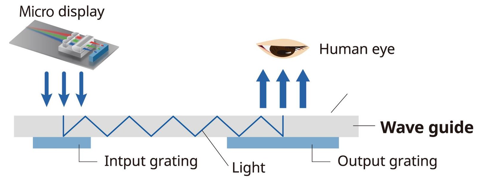 Input grating, waveguide propagation and output grating delivering an image to the human eye